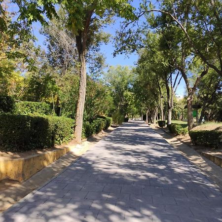 טולדו Apartamento Rosa Park מראה חיצוני תמונה